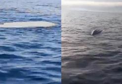 Artvin’de balıkçılar insansız deniz aracı buldu; özel ekip inceleyecek