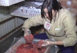 Ankara'da uygunsuzluk tespit edilen 16,7 ton hayvansal gıda imha edildi