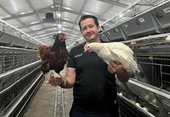 Yumurtacı damızlık civciv üretiminde yapay zeka dönemi