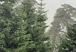 Bolu'nun yüksek kesimlerine kar yağdı