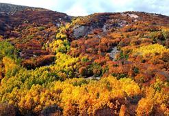 Geminbeli Geçidi'nde sonbahar renkleri