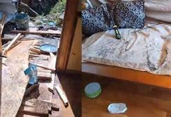 Yiyecek arayan ayılar, 8 köy evine zarar verdi