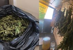 Bursa'da güvercin kümesine gizlenmiş uyuşturucu ele geçirildi