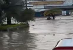 Meksika'da sel: 41 ölü