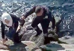 Avcılar sahilinde kayalıkların arasına düşen kadını güvenlik görevlisi kurtardı