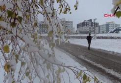 Erzurum kent merkezi'nde kar yağışı