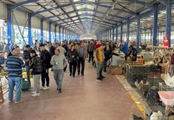 Tekirdağ’da açılan güvercin pazarı, aileler ve çocukların ilgi odağı oldu