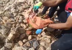 Tarlada taş ve tezek yığını arasına gizlenen silah ve uyuşturucu ele geçirildi: 12 gözaltı