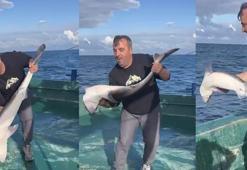 Bartın açıklarında balıkçıların ağına köpek balığı takıldı