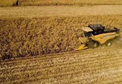 TÜİK: Tarım ürünleri üretici fiyatları eylülde arttı