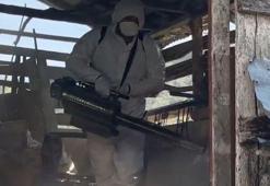 Bakan Yumaklı: Kahverengi kokarcaya karşı 1 milyondan fazla hanede ilaçlama yaptık