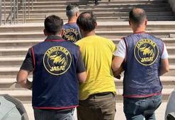 Van'da, aranan FETÖ üyesine gözaltı