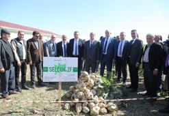 PANKOBİRLİK ve Selçuk Üniversitesi tarafından geliştirilen yerli şeker pancarı tohumu tanıtıldı