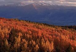 Sonbaharda seyirlik manzaralar