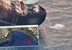 Antalya'da 'deniz çöpleri' seferberliği