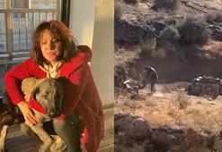 Şiddet uygulayana 6 ay 10 gün hapis cezası verildi, 'Yiğit' adı konulan köpek Bursa'daki barınağa gidecek