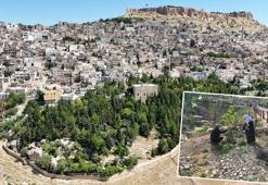 Babasının diktiği 3 bini aşkın fidan için 'hatıra ormanı' talebi