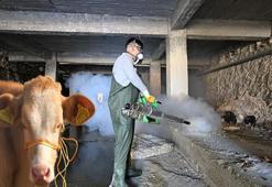 Dünya Gıda Günü’nde şap kaynaklı hayvansal gıda eksikliği uyarısı