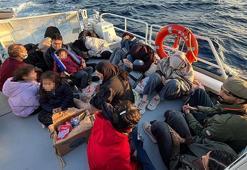 Bodrum açıklarında 24 kaçak göçmen yakalandı, 19 kaçak göçmen kurtarıldı