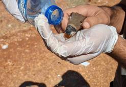 Saka kuşu kaçakçılığına 10 milyon 897 bin lira ceza