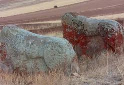 4 bin yıllık 2 Aslantaş için taşınma kararı