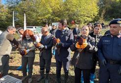 Bartın'da kahverengi kokarca ile mücadele için doğaya 250 sülün salındı