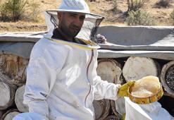 Bitlis’te kara kovan balının hasadı başladı