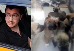 Köpekleri, cinsel istismarda bulunup öldürdüğü öne sürülen doktora 9 yıl 9 ay hapis cezası