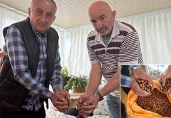Fiyatın yükselmesini bekleyen üretici fındığını evinde bekletiyor