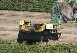 Kayseri’de şeker pancarı hasadı başladı