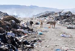 Kars’ta mahalleliden çöp tepkisi