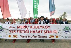 Meriç'te 'Fıstık Festivali' başladı