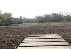 Türkiye’nin 3’üncü büyük longozu da kurudu