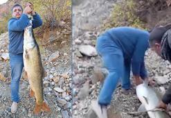 Malatya'da amatör balıkçının oltasına 32 kiloluk turna balığı takıldı