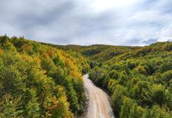 Tokat’ta sonbaharın güzelliği havadan görüntülendi