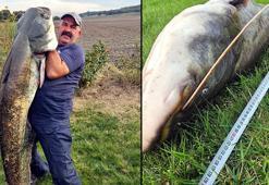 Oltayla 70 kiloluk yayın yakaladı