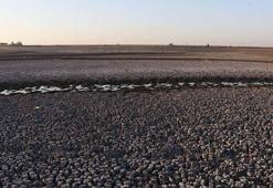 ‘Kabaklı Göleti son demlerini yaşıyor’