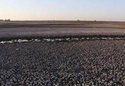 ‘Kabaklı Göleti son demlerini yaşıyor’