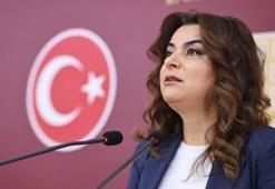 DEM Parti'li Koçyiğit: Tezkerelere 'hayır' oyu vereceğiz