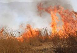 Yüksekova'da Nehil Sazlığı'nda yangın