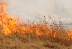Yüksekova'da Nehil Sazlığı'nda yangın