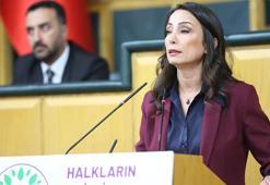 DEM Parti'li Hatimoğulları: Komisyon somut adımlara yoğunlaşmalı