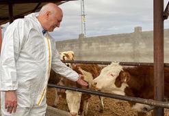 Bayraktar: Şap hastalığından mağdur olan işletmelere destek verilmeli