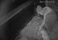 Taksim’de korku evinde kadını darbedip elektroşok cihazıyla çarptı