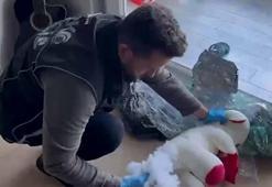 Uyuşturucuyu oyuncak ayının içerisine gizlemiş