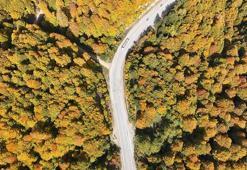 Domaniç Dağları sonbaharın renklerine büründü