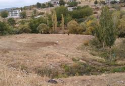 Diyarbakır'da, ağaçlık alanda erkek cesedi bulundu