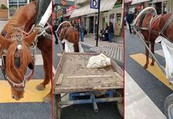 Yaya geçidine park edilen at arabasının sahibine 993 lira ceza