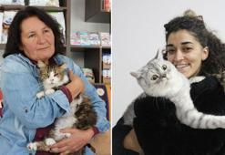 Anemi hastası kedi 'Nazlı', donör 'Casper'ın kanıyla sağlığına kavuştu