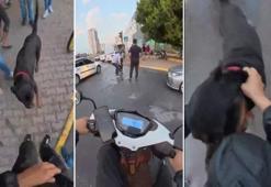 Ağızlıksız dolaştırılan köpek 2 kişiyi yaraladı; o anlar kask kamerasında